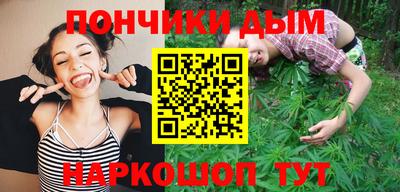 ALPHA PVP Гай